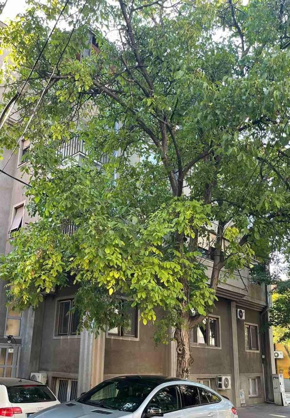 Urban Stay 斯科普里 外观 照片